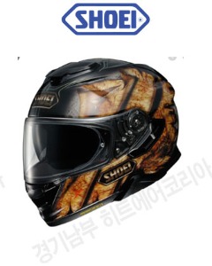 SHOEI helmet GT-AIR2 DEVIATION TC-9